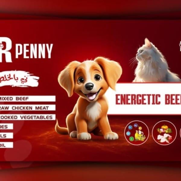 Dr. Penny Energetic Beef Meal