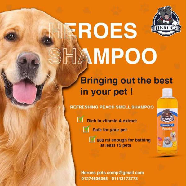 Heroes Shampoo for