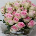 French Roses