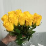 French Roses